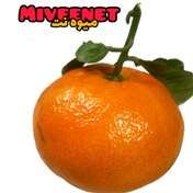 تصویر نارنگی رسمی شمال اعلا ۱۰۰۰+ گرمی بسته بندی تازه نگهدار میوه نت ا The tangerine of the north Iran +1000Gr fresh packing miveenet The tangerine of the north Iran +1000Gr fresh packing miveenet