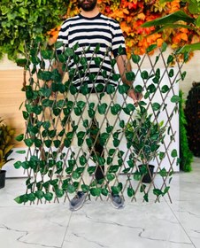 تصویر فنس آکاردیون 