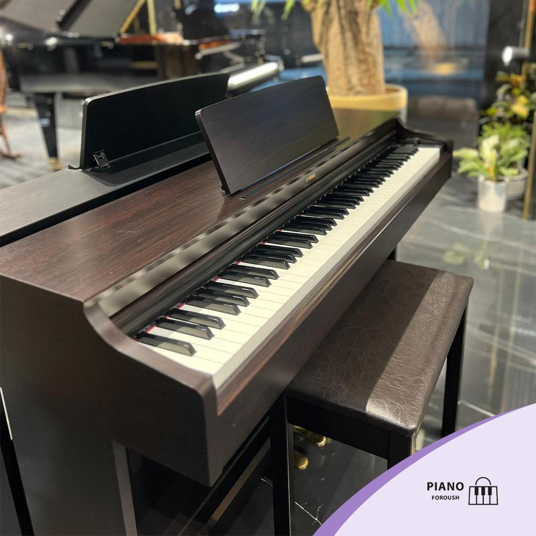 خرید و قیمت YAMAHA YDP 163 R | ترب