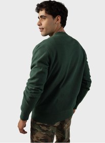 تصویر سویشرت یقه گرد برند american eagle Crew Neck Sweatshirt