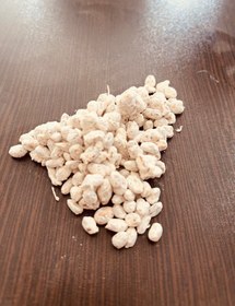 تصویر بذر قارچ دکمه ای (1 کیلوگرم) 