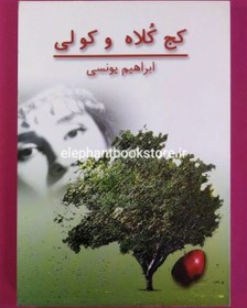 تصویر کتاب کج کلاه و کولی اثر ابراهیم یونسی 