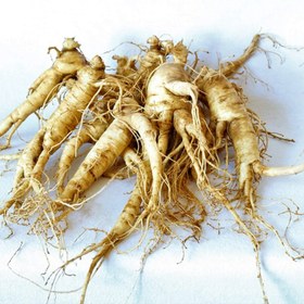 تصویر بذر جینسینگ آمریکایی 5 عددی 