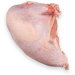 تصویر سینه بوقلمون 