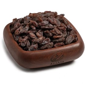 تصویر مویز فخری 