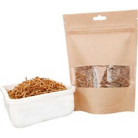 تصویر میل ورم خشک 