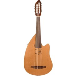 تصویر عود گودین Oud Godin Multiac Multioud Encore Nylon SG 