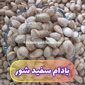 تصویر بادام سفید شور 