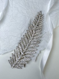 تصویر ریسه مو برگ 