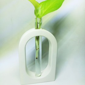 تصویر گلجا آلا Pikasa