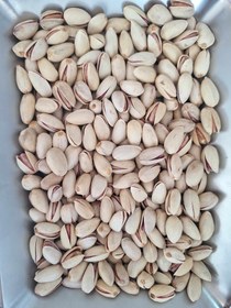 تصویر پسته سفید بادامی 