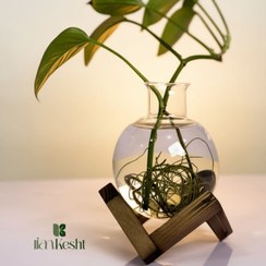 تصویر گلدان تراریومی با پایه چوبی مدل آرکون 