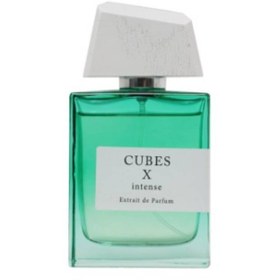 تصویر ادوپرفیوم مردانه اکسید کیوبز 10 اینتنس 100میل-XCEED Cubes XCEED Cubes X Intense Extract De Parfum 100ml