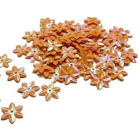 تصویر پولک گل رنگی 