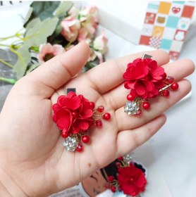 تصویر گیره انبری گل قرمز 