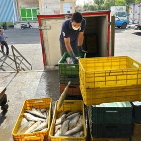 تصویر ماهی قزل آلا ریز (کیلویی) 