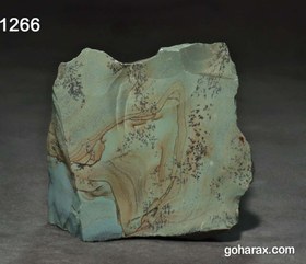 تصویر سنگ فسیل شجر دندریت 