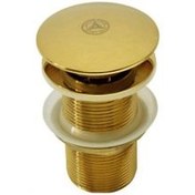 تصویر زیرآب طلایی براق _قهرمان 