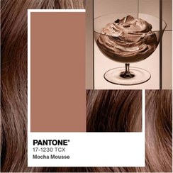 تصویر پک ترکیبی رنگ مو موکا موس 