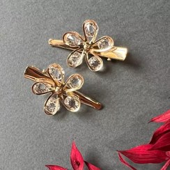 تصویر گیره انبری مجلسی طلایی شیک دخترانه جفتی 