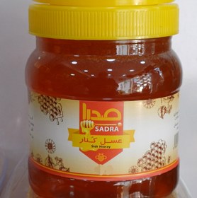 تصویر عسل کنار (سدر) فارس 