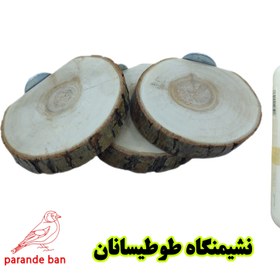 تصویر نشیمنگاه کالباسی طوطی سان parande ban