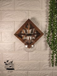 تصویر گیاه پتوس سنتی 