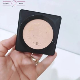 تصویر کوشن شیر 