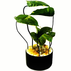 تصویر آب نما 6 برگ کن مدل 405340 