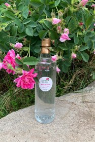 تصویر گلاب ۱ آتیشه 