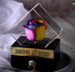 تصویر باکس گل رز جاودان 