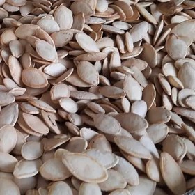 تصویر تخمه کدو گوشتی پُرمغز نیم کیلویی (500 گرم خالص) 