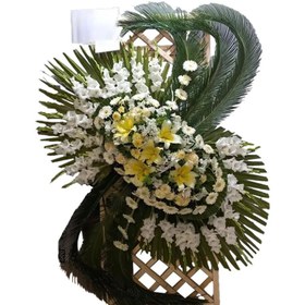 تصویر تاج گل هیوا 