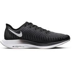 pegasus 35 turbo 2