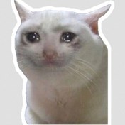 تصویر استیکر میم گربه گریان 