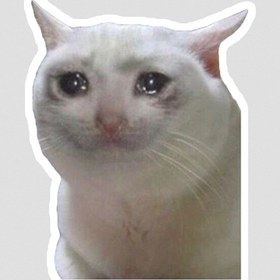 تصویر استیکر میم گربه گریان 