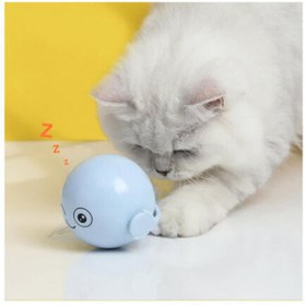 تصویر اسباب بازی توپ غلتان گربه Cat Rolling Ball Toy 