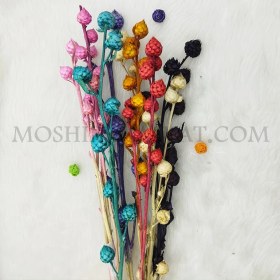 تصویر گل خشک مدل پیازی 