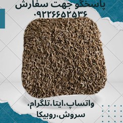 تصویر زیره سیاه Caraway 