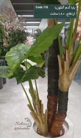 تصویر درختچه بابا آدم مصنوعی سه تنه سایز ۱۸۰ سانت 