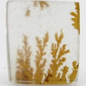 تصویر سنگ شجر کد 2297 