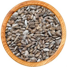 تصویر بذر خار مریم 60 گرم 