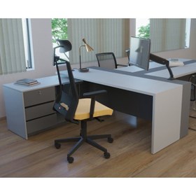 تصویر میز کارشناسی نیلپر مدل ODE 665S 