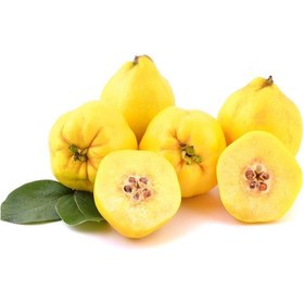 تصویر به اصفهان درجه یک – 5 کیلوگرم 