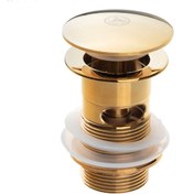 تصویر زیرآب اتوماتیک قهرمان طلایی 