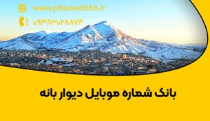 تصویر بانک شماره موبایل دیوار بانه 