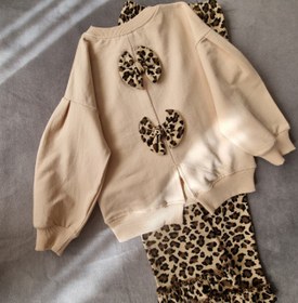 تصویر پاپیون پلنگی 