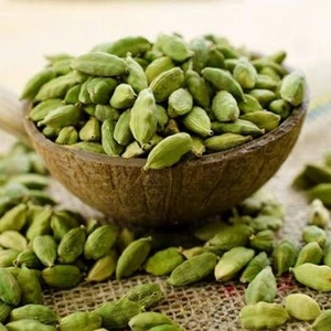 تصویر فروشگاه تراوش شاپ