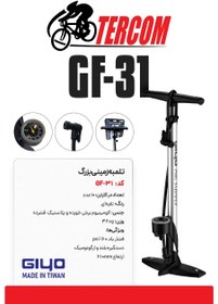 تصویر تلمبه زمینی بزرگ جیو مدل GIYO GF-31 