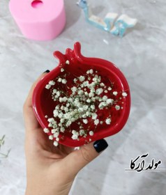 تصویر قالب ظرف انار شات انار